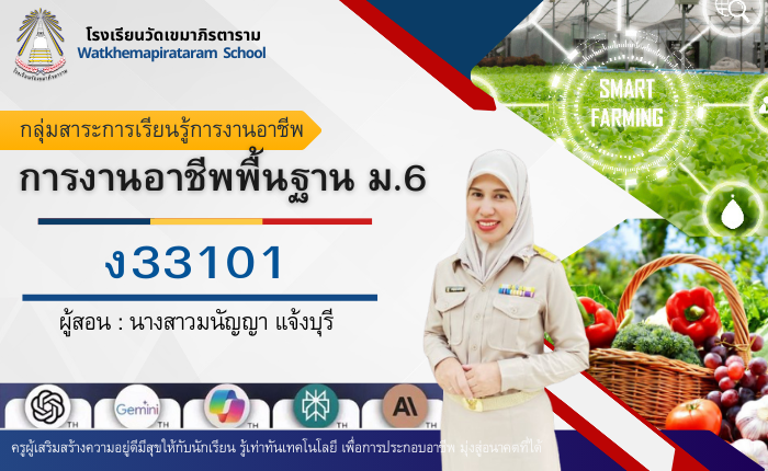 การงานอาชีพพื้นฐาน (ง33101) ม.6/3