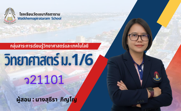 วิทยาศาสตร์พื้นฐาน1 ม.1/6 ภาคเรียนที่ 1
